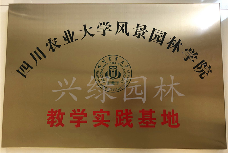 公司资质.jpg 公司资质.jpg